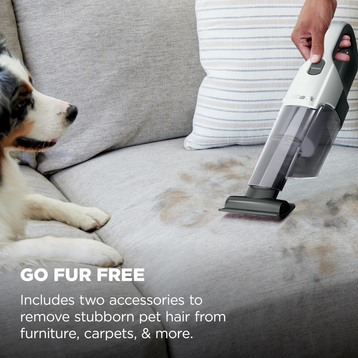 Shark® Cyclone PET Handheld Vacuum, Pearl White, AA701 🍁 All In One Marketplace Canada