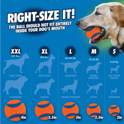 Chuckit! Fetch & Fold Launcher 25M, Compact Ball Launcher 🍁 All In One Marketplace Canada