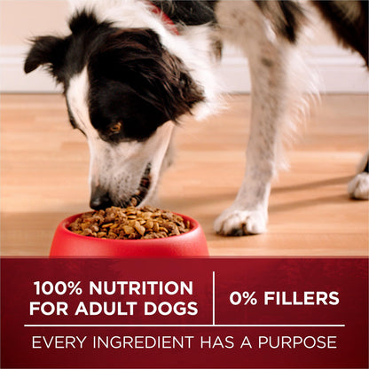 Purina ONE True Instinct Dry Dog Food, Salmon & Tuna 12.4kg 🍁 All In One Marketplace Canada