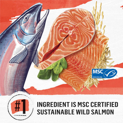 Beyond Simply Natural Dry Cat Food, Salmon & Whole Brown Rice - 2.72 kg Bag 🍁 All In One Marketplace Canada