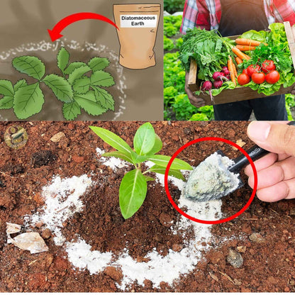 Diatomaceous Planet a Proudly Canadian Company, 2 KG / 4.4 LB All Natural, Organic Food Grade Powder, Enriched Fossil Powder by Diatomaceous Planet 🍁 All In One Marketplace Canada