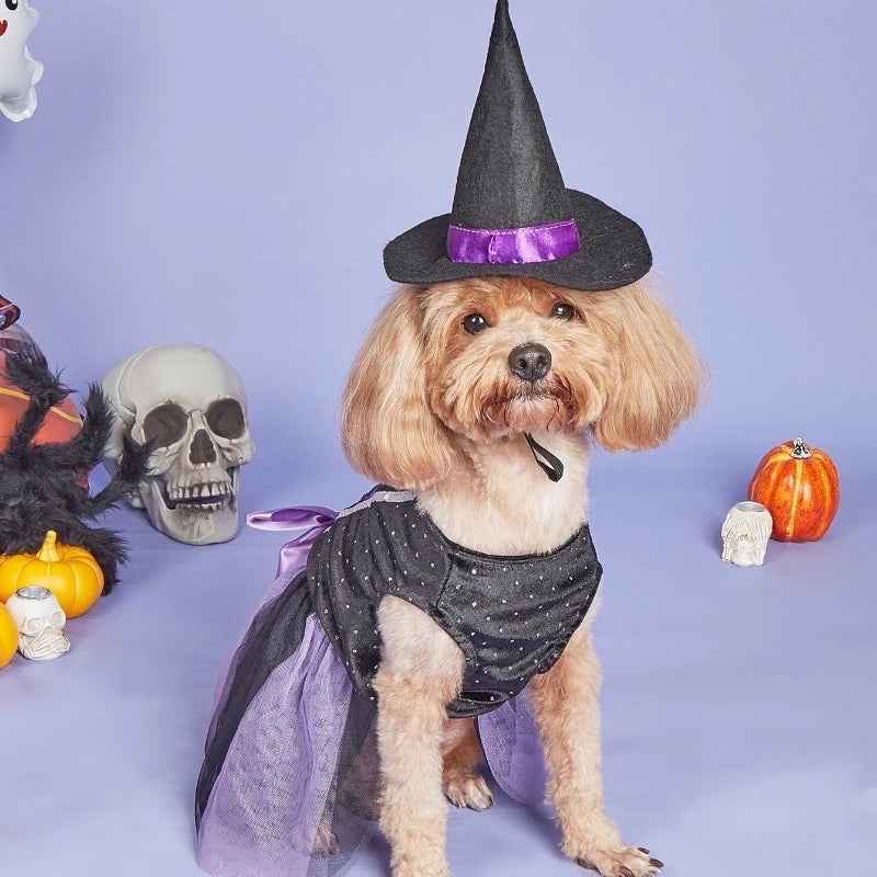 Witch Hat Dog Dress | Halloween Costume