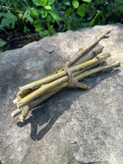 Willow Branch Bundle for Rabbits