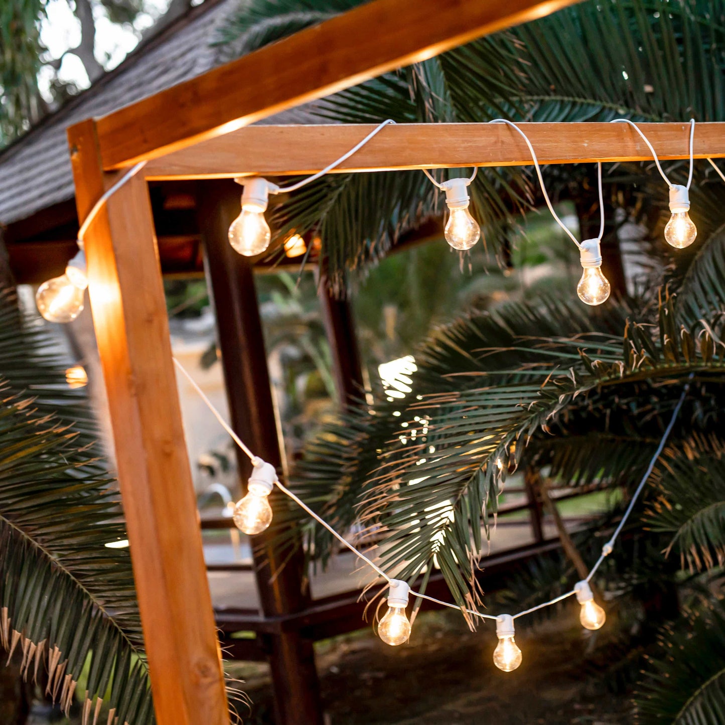 Allegra<br> Solar-charged Garland