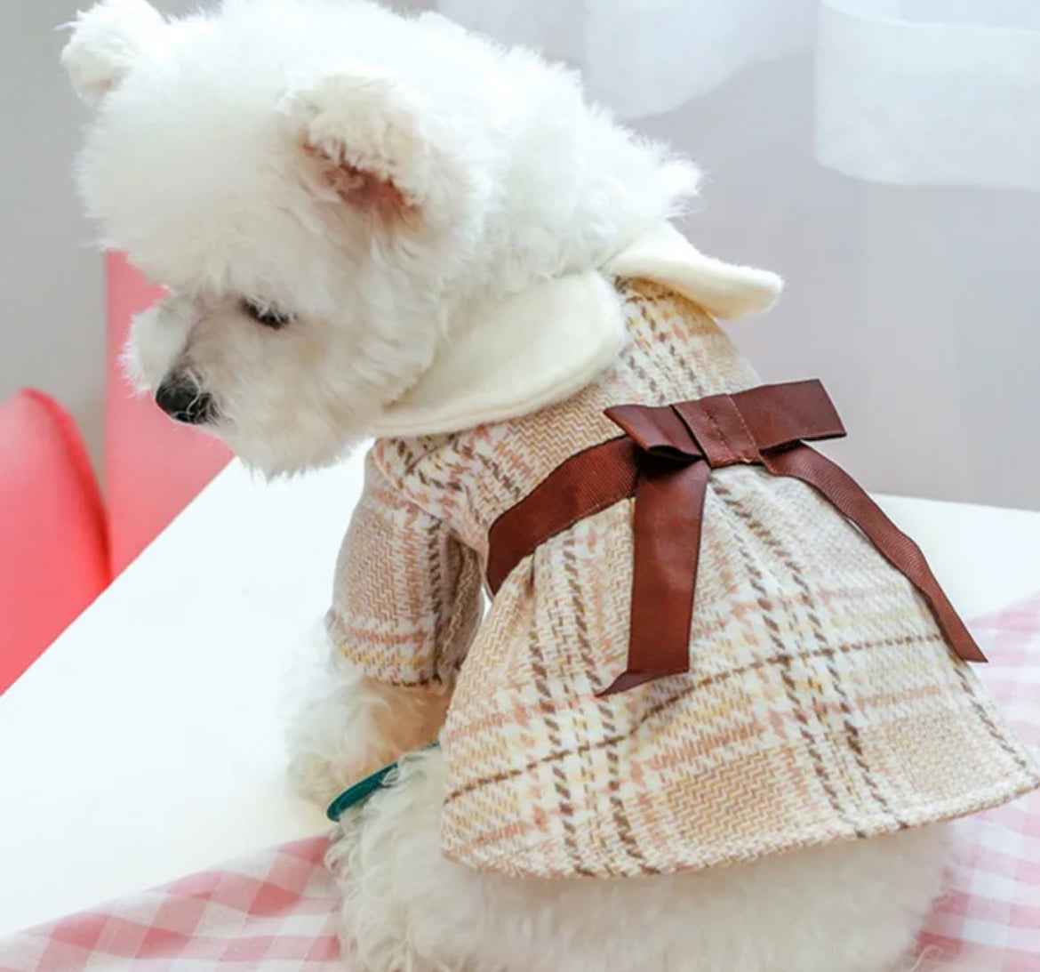 Fiona Dog Dress | Dog Dress for Special Occasions