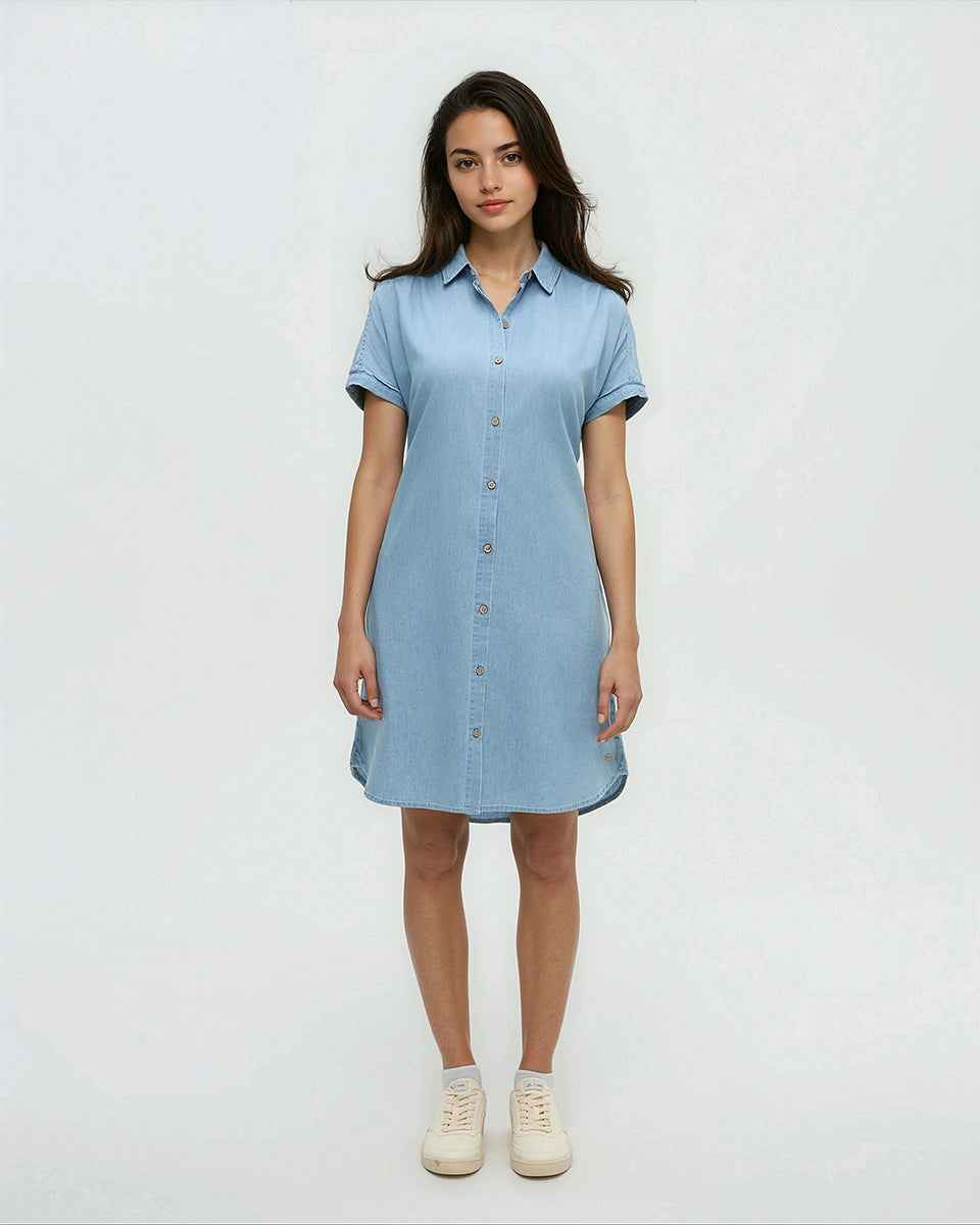 Denim Tern Dress