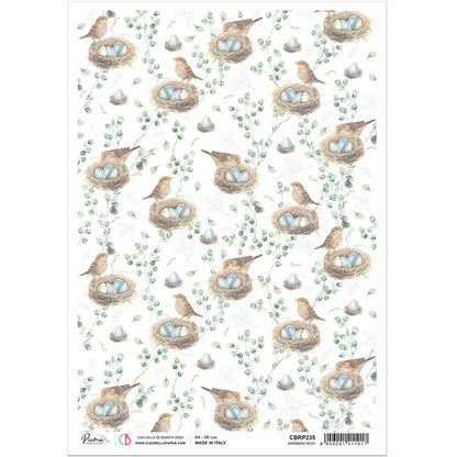 Ciao Bella Rice Paper A4 Sparrow Nest