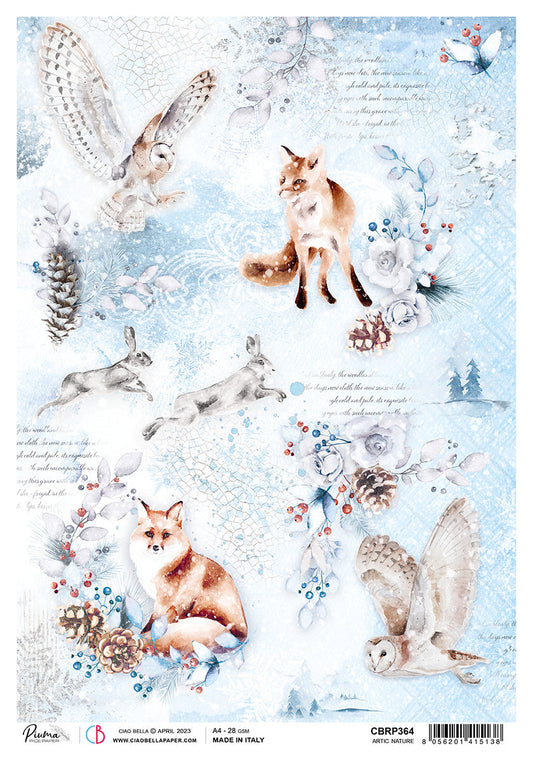 Ciao Bella Rice Paper A4 Piuma Artic Nature - 5 Sheets