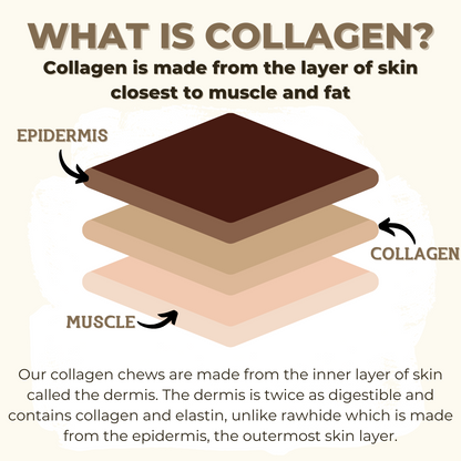 5-6 Inch Braided Collagen Stick