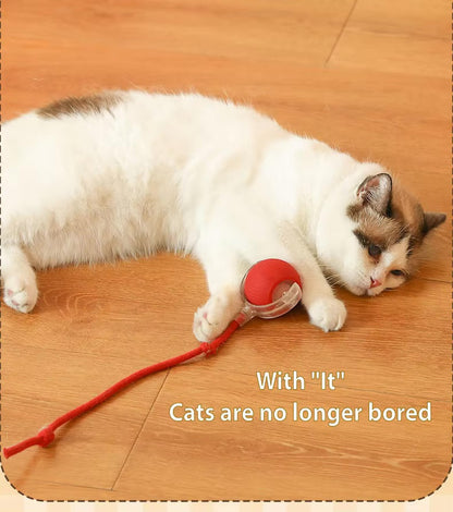 Pet Vibrating Bouncing Ball Toy with Tail