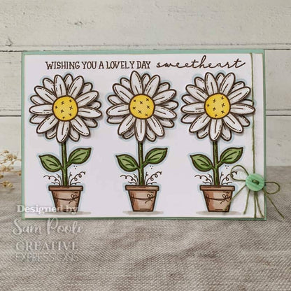 Creative Expressions Sam Poole Daisy Bloom 6 in x 4 in Clear Stamp Set