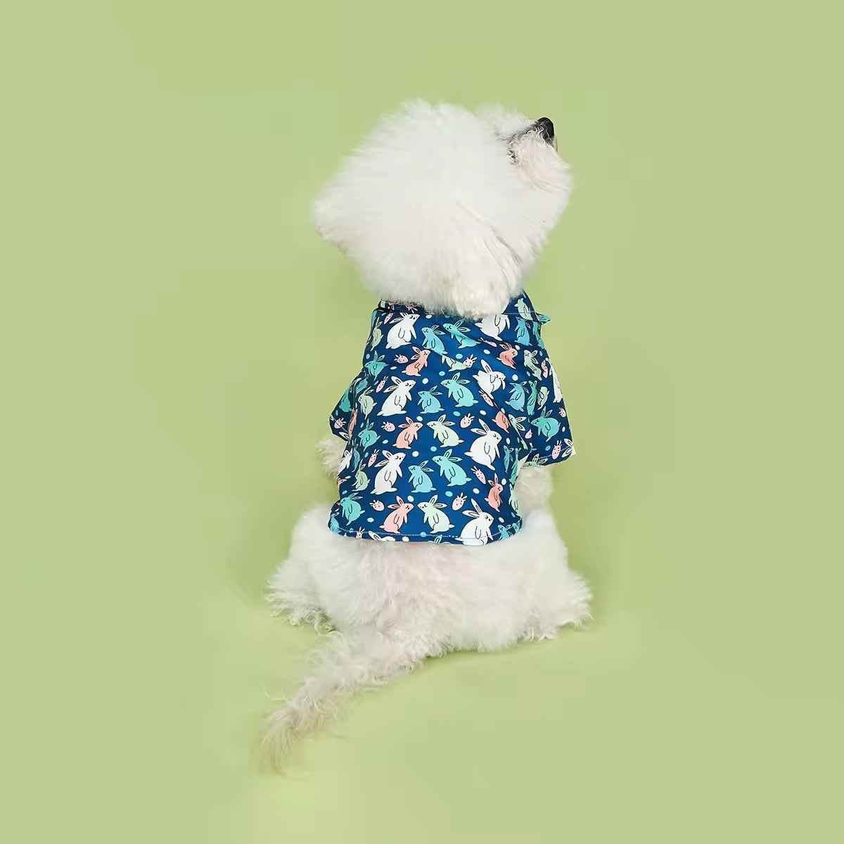 Easter Bunny Shirt – Festive Luxury Dog Shirt