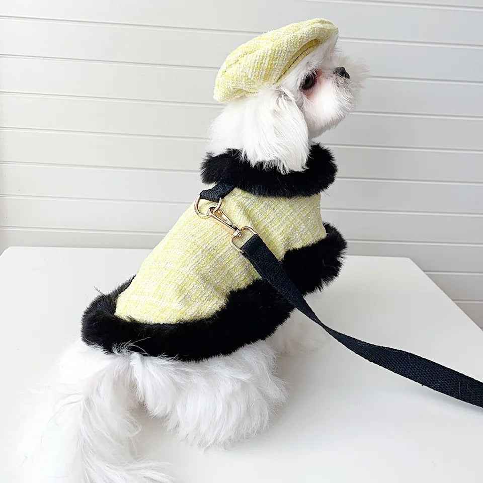 Plaid Tweed Harness Set | Dog Harness Leash and Hat Set