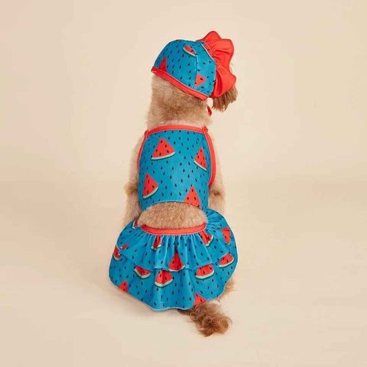 Watermelon Swimsuit
