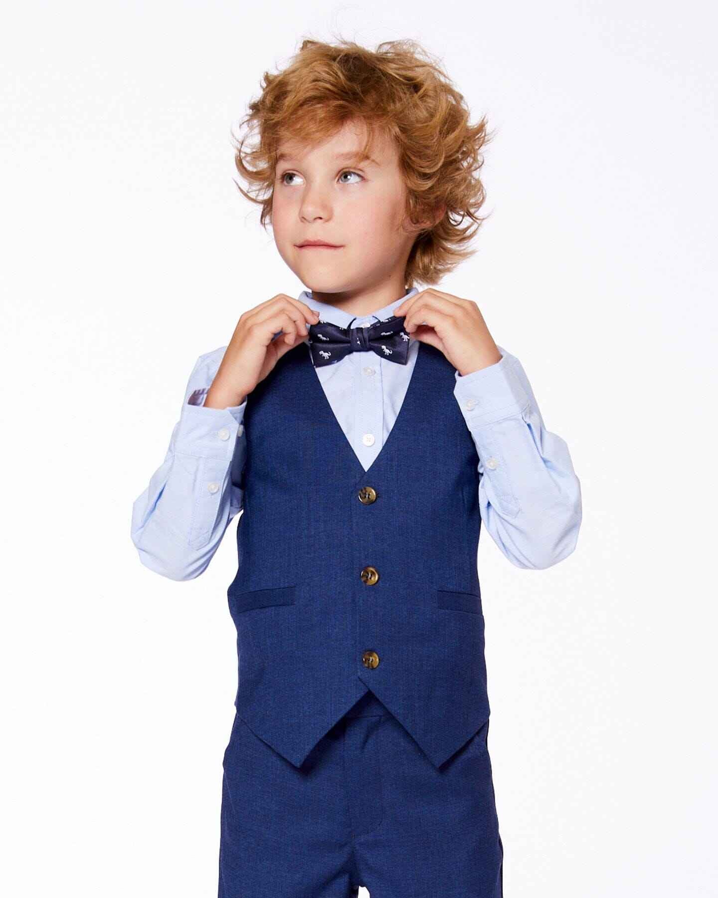 Bow Tie Blue Dino Print