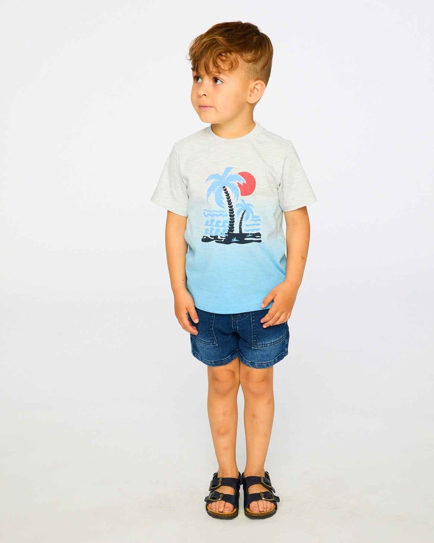 Organic Cotton Short Sleeve T-Shirt Grey Mix To Blue Gradient