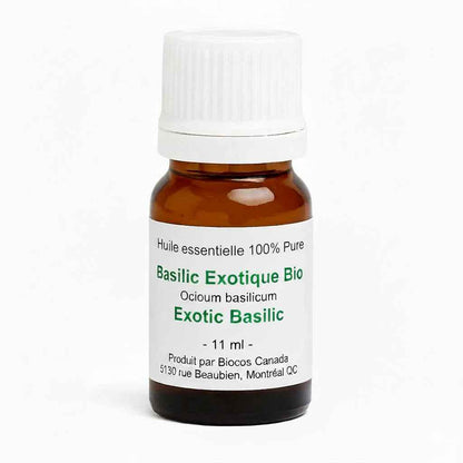Basilic exotique bio