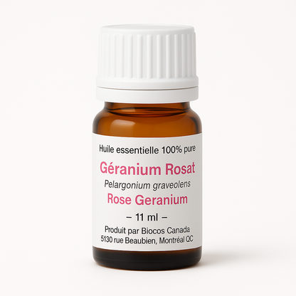 Géranium Rosat
