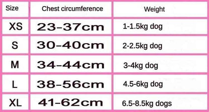 Chewnel Harness Set | Dog Harness Leash Set