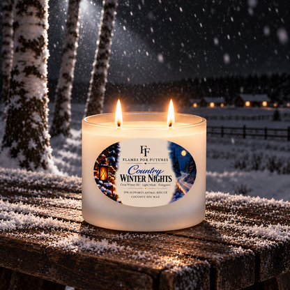 Country Winter Nights