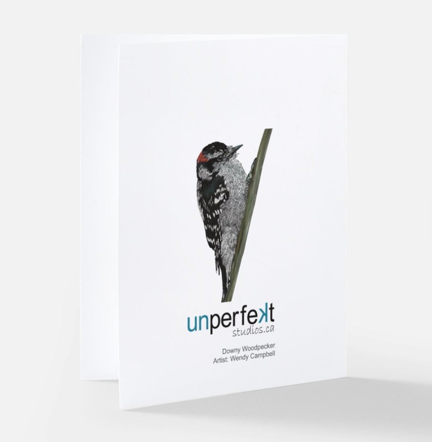 Greeting Card - Downy Woodpecker