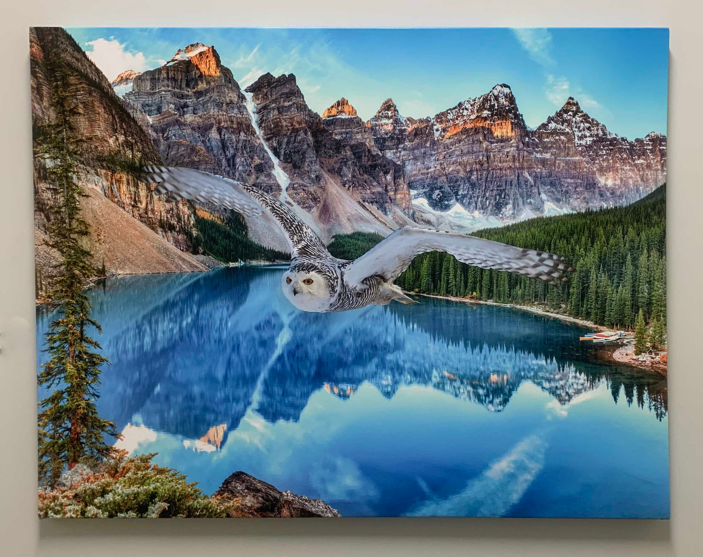 Leinwand-Tierkunst – Schneeeule bei Banff – Gedrucktes Kunstwerk