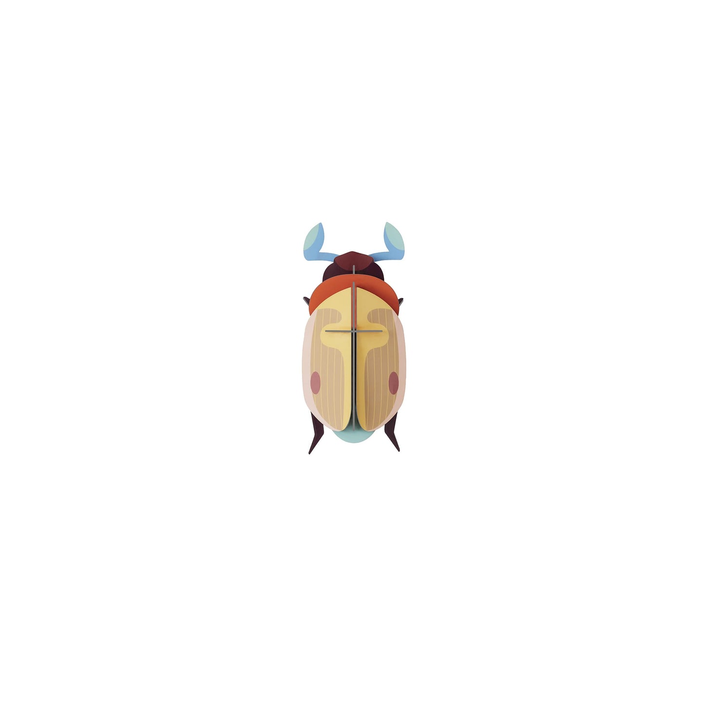 Lemon Fruit Beetle