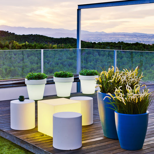 Magnolia<br> Solar & Rechargeable