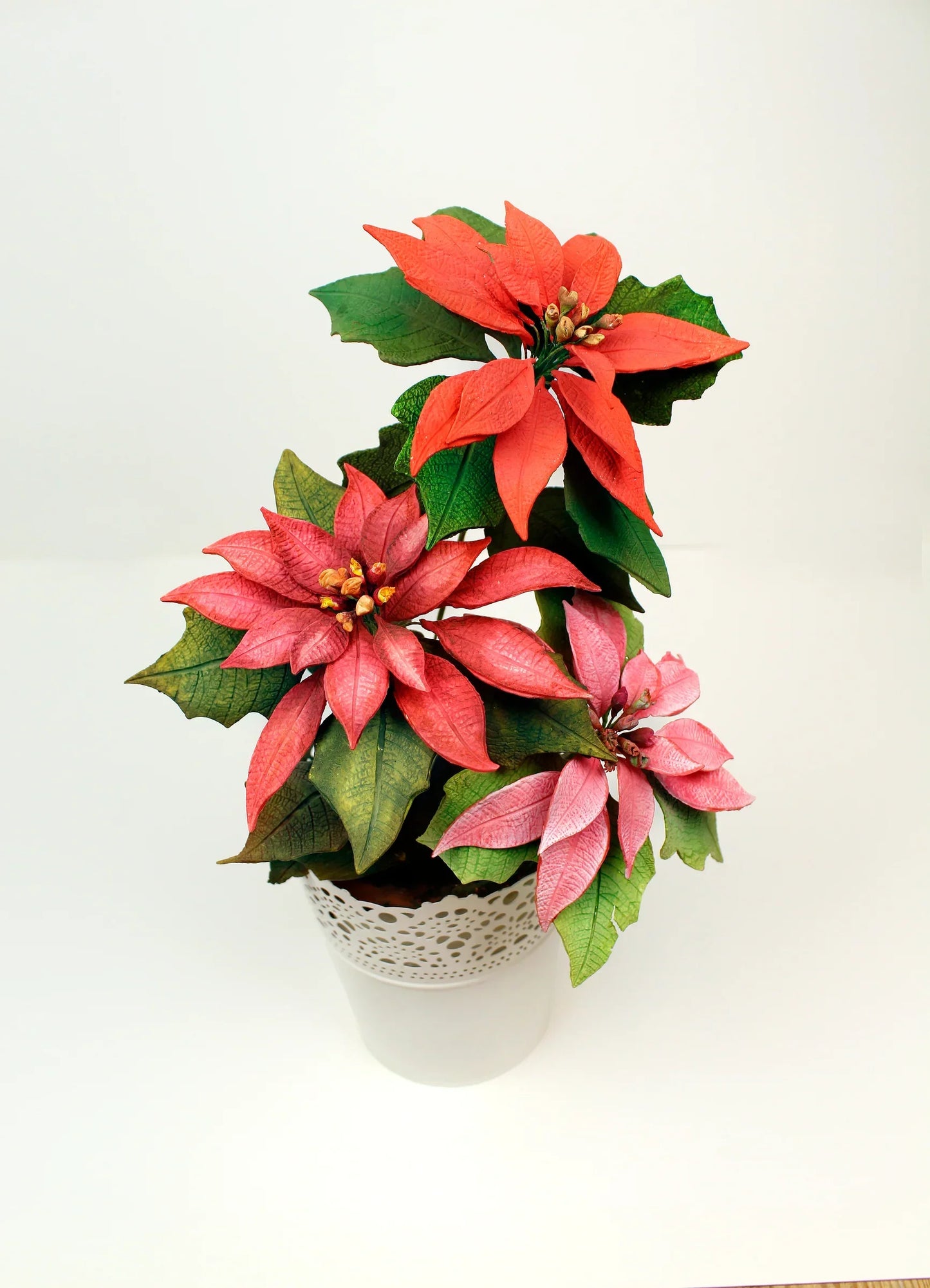 Flower Pro Poinsettia Mould and Veiner Silicone Mould