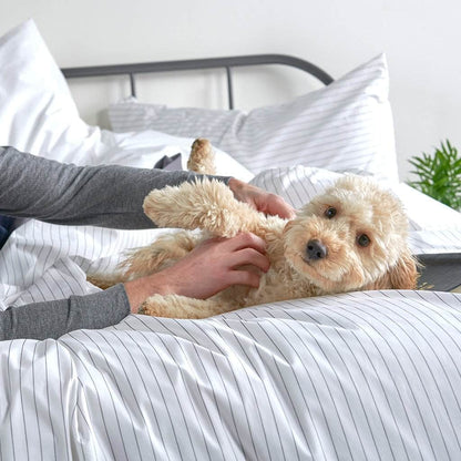 Bettbezug der Essential Organic Percale Kollektion