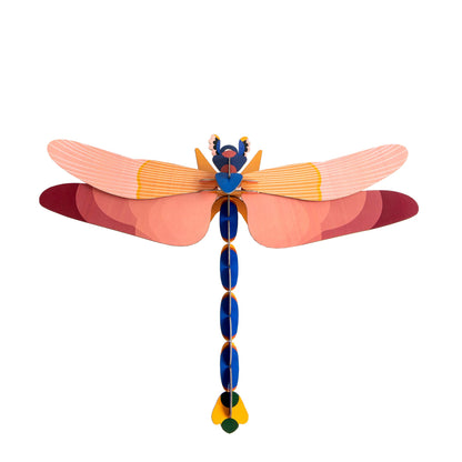 Pink Dragonfly