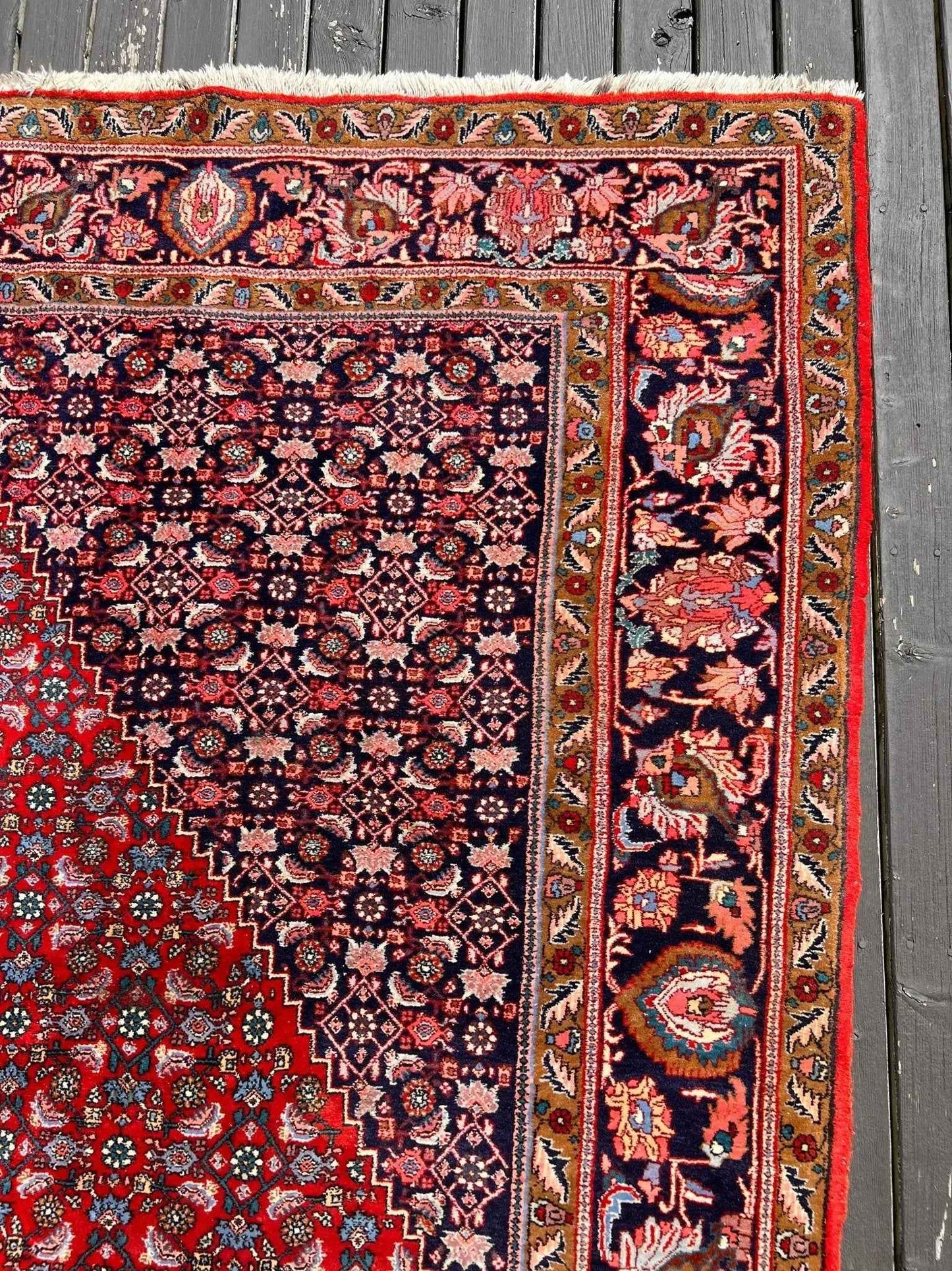 Persian Bidjar Rug | 7' 8" x 11' 8"