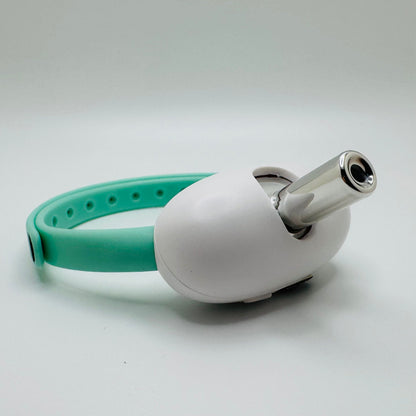 Laser Collar Toy for Cats