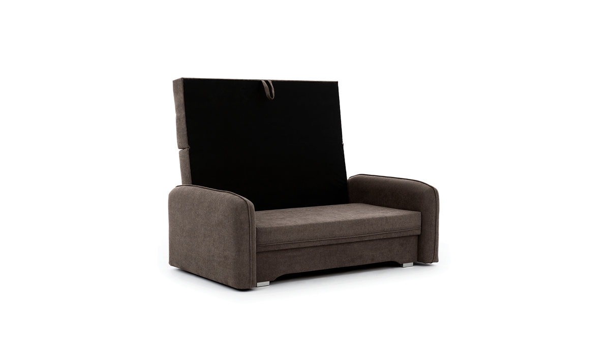 Laine Condo Style 2 Seater Storage Sleeper Sofa - Brown