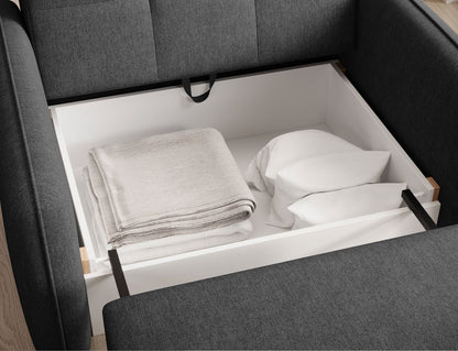 Laine Condo Style 1 Seater Storage Sleeper Sofa - Black