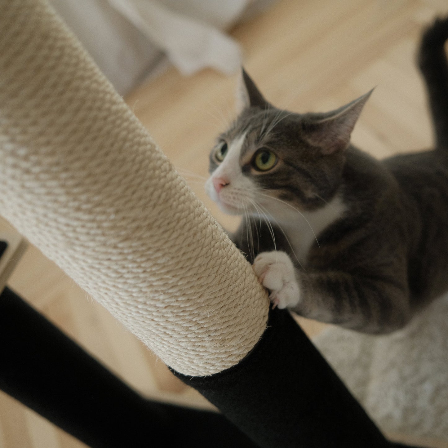 Noba Modern Plywood 2-Level Cat Tree