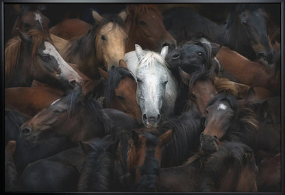 Wall art: The White Horse