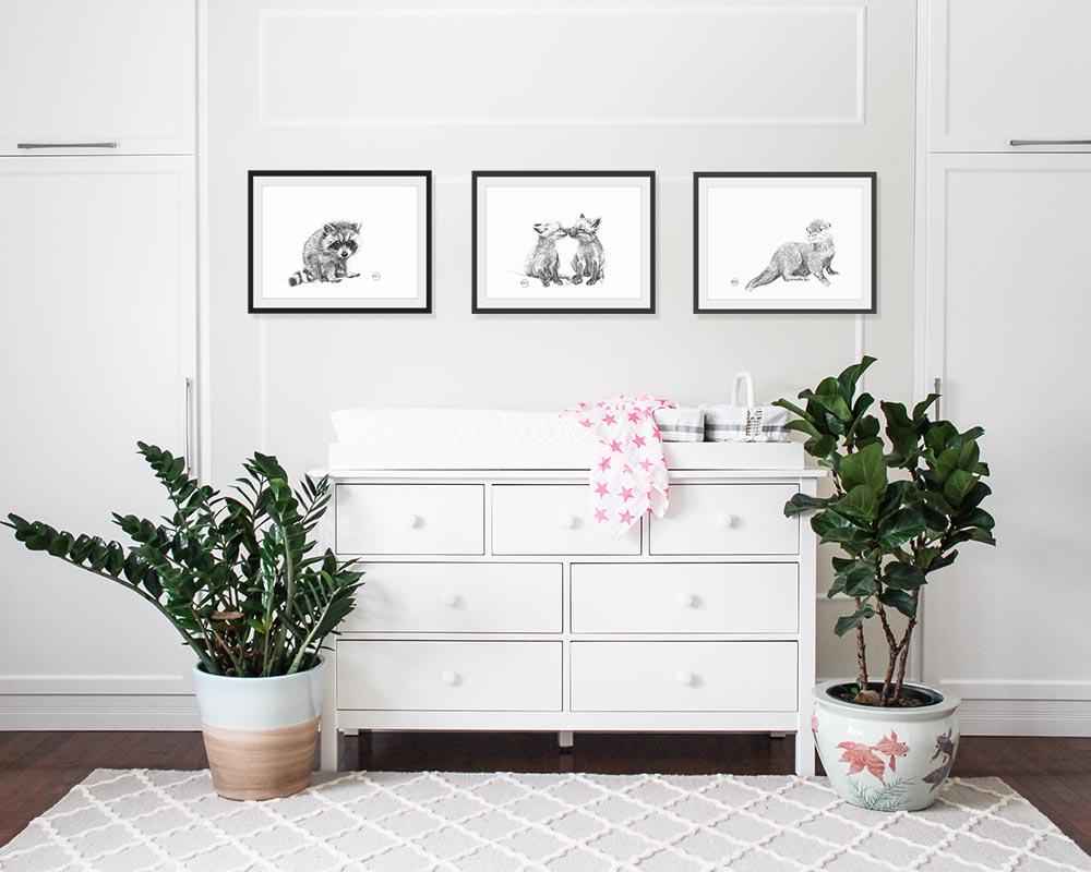 Adorable Baby Raccoon - Black and White Nursery Wildlife Art Print