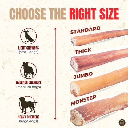 12 Inch Jumbo Bully Stick
