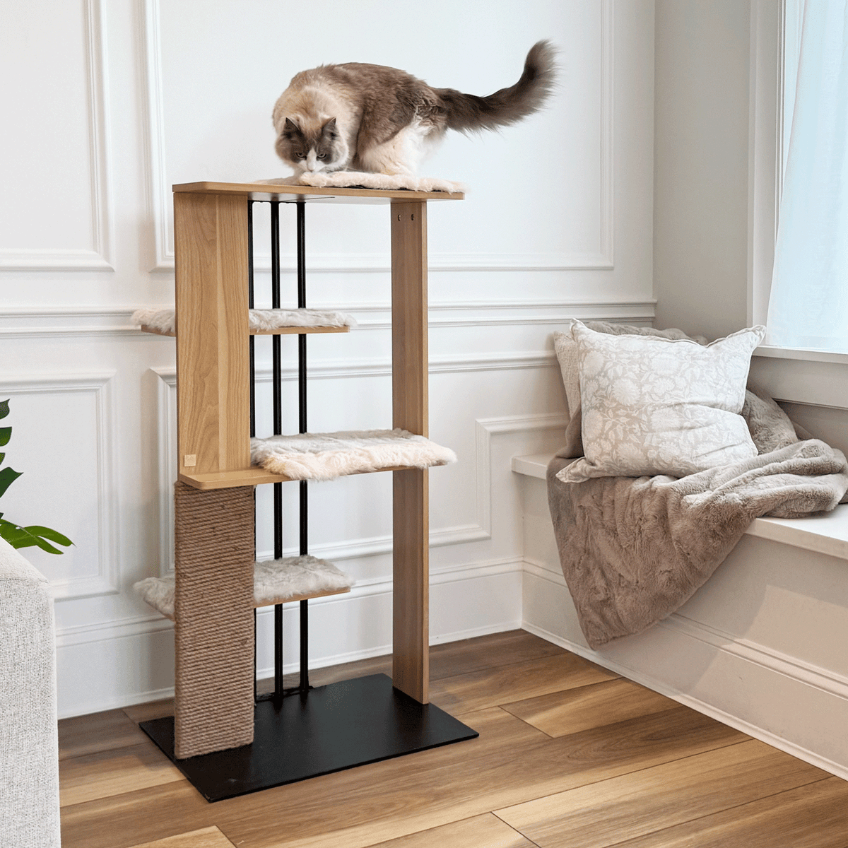 cali cat tree
