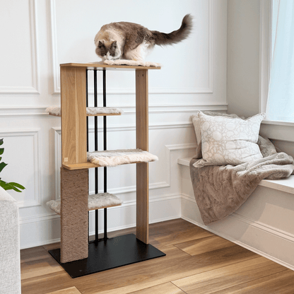 cali cat tree