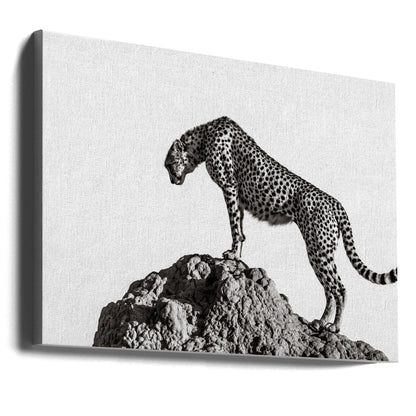 Wall Art the hunter