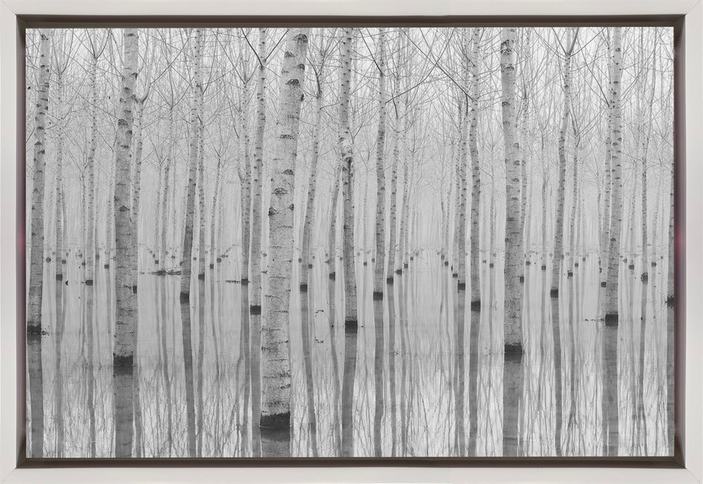 Novembre 2014