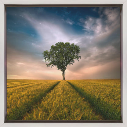 Wall art One