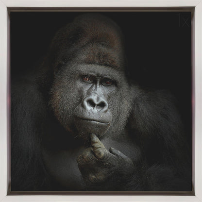 Wall Art ego cogito, ergo sum
