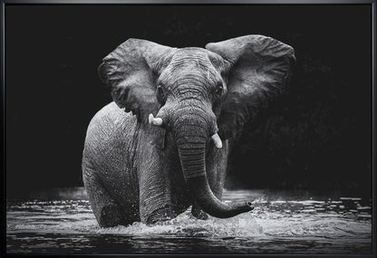 Wall art Power 1. Elephant