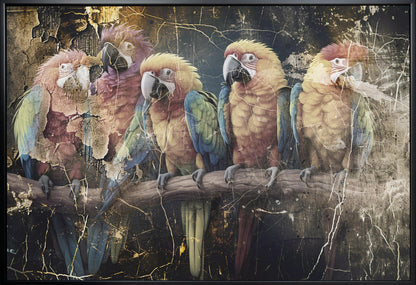 Wall art Parrot Animal Vintage Art Illustration Wallart 10