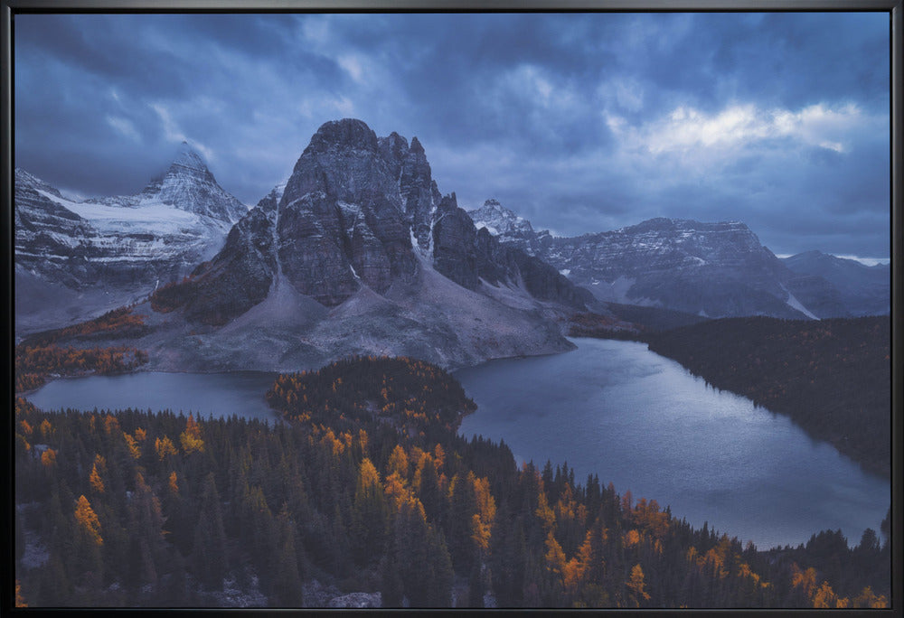 Wall art Mt Assiniboine: Amidst A Snow Storm