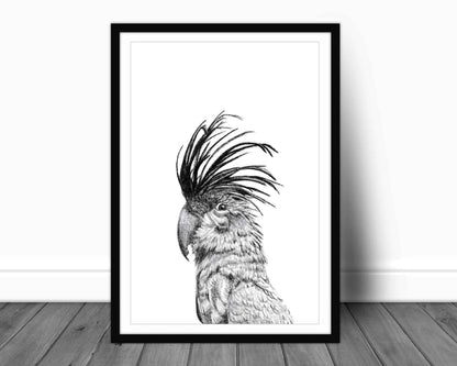 Cockatoo Portrait - wildlife art print
