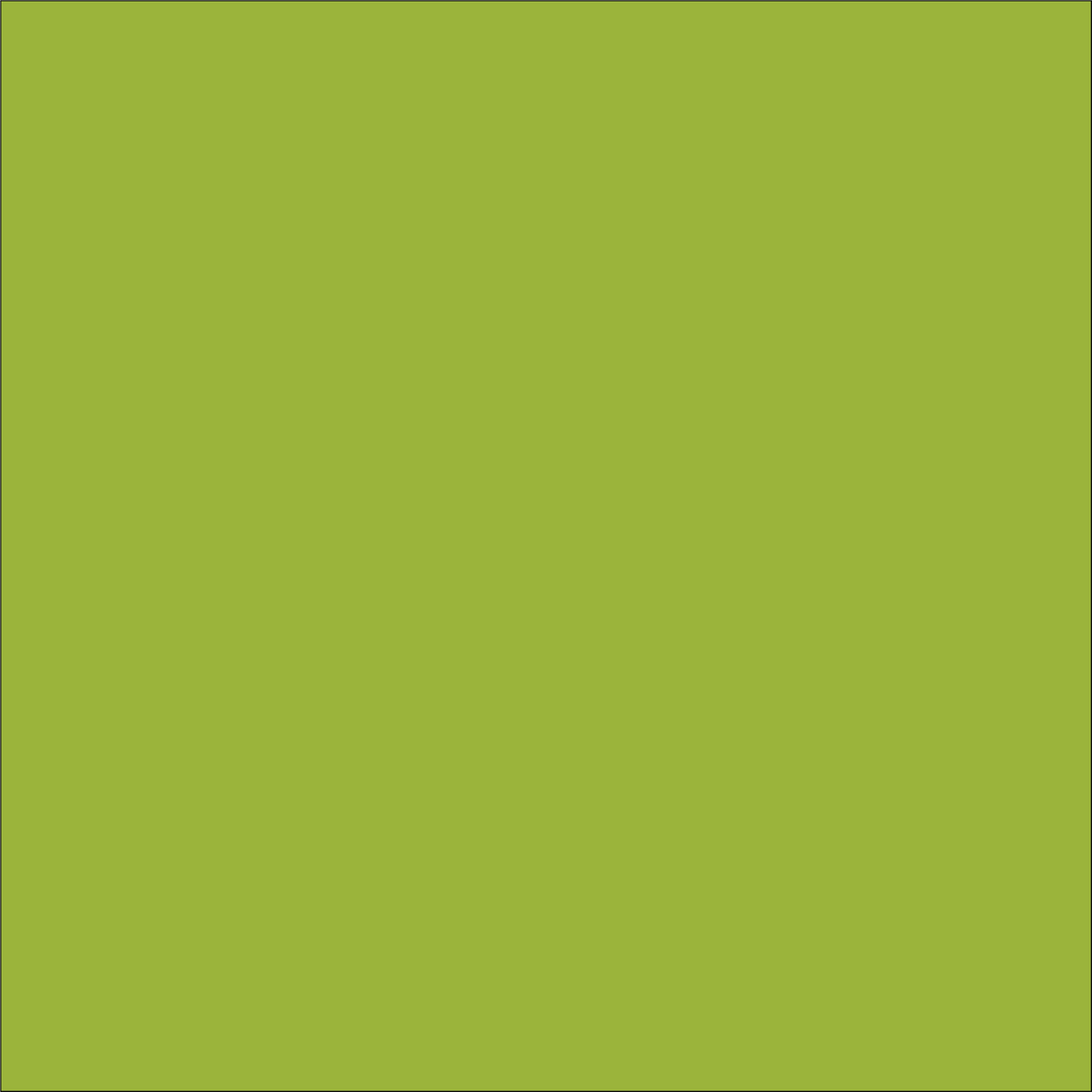 Craft Lime HTV Vinyl 12" x 4.5" sheets